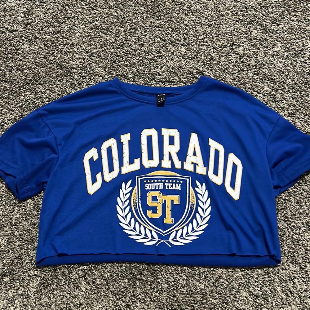 blue graphic croptop